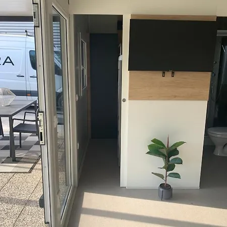 House Hela - & Tavern Bain, Free Transport, Pool, Island Of Zut - Kornati Pristanisce