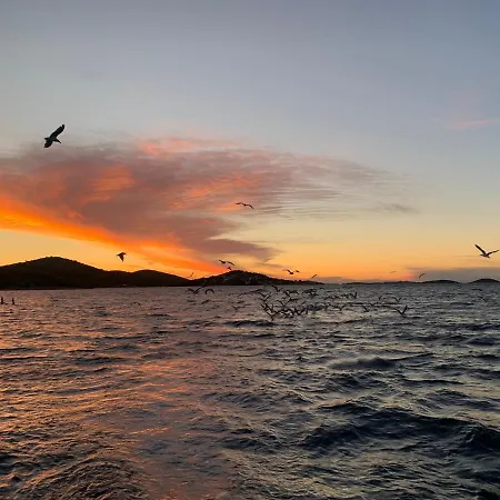 House Hela - & Tavern Bain, Free Transport, Pool, Island Of Zut - Kornati