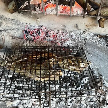 House Hela - & Tavern Bain, Free Transport, Pool, Island Of Zut - Kornati Pristanisce