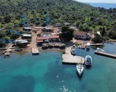 House Hela - & Tavern Bain, Free Transport, Pool, Island Of Zut - Kornati Casa vacanze Pristanisce
