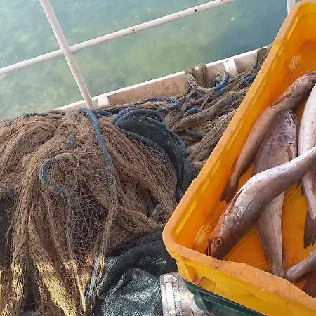 House Hela - & Tavern Bain, Free Transport, Pool, Island Of Zut - Kornati *