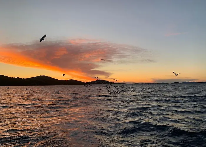 House Hela - & Tavern Bain, Free Transport, Pool, Island Of Zut - Kornati