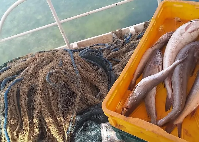 House Hela - & Tavern Bain, Free Transport, Pool, Island Of Zut - Kornati *